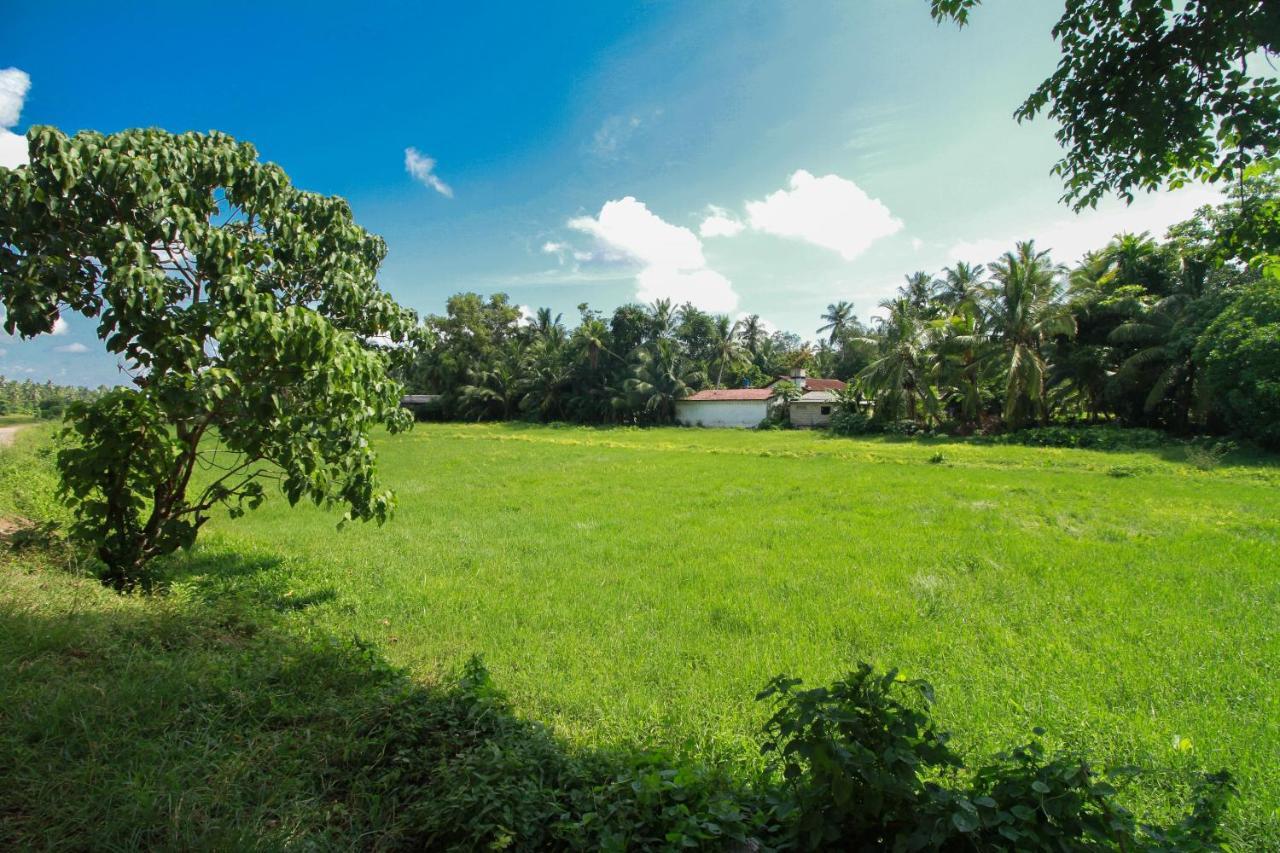 Airport Green View Resort Andiambalama المظهر الخارجي الصورة
